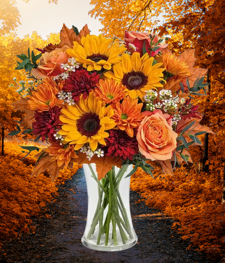 Autumn Glow